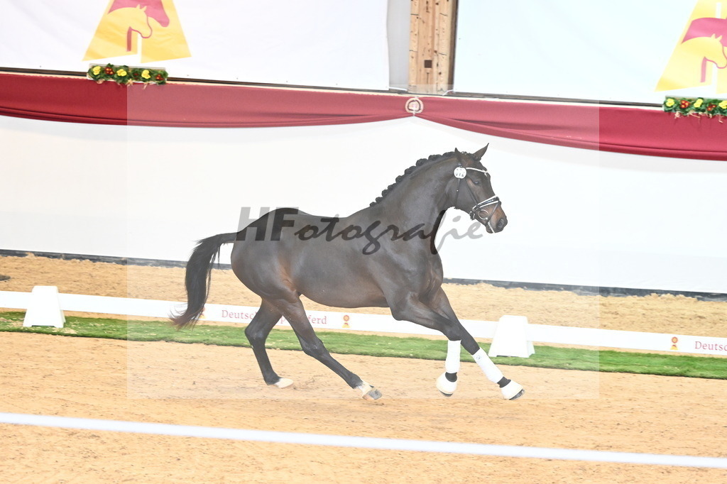 Kat.-Nr. 72 v. Va Bene_Bergmann_2240707 | hf-fotografie - Realisiert mit Pictrs.com