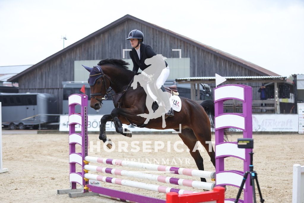 0P6A0718 | Willkommen bei Brunnmayr - Design & Fotografie – Ihrem Spezialisten für Reitturniere und Pferdeveranstaltungen in Oberösterreich, Salzburg und Bayern! Seit über 17 Jahren sind wir leidenschaftlich dabei.