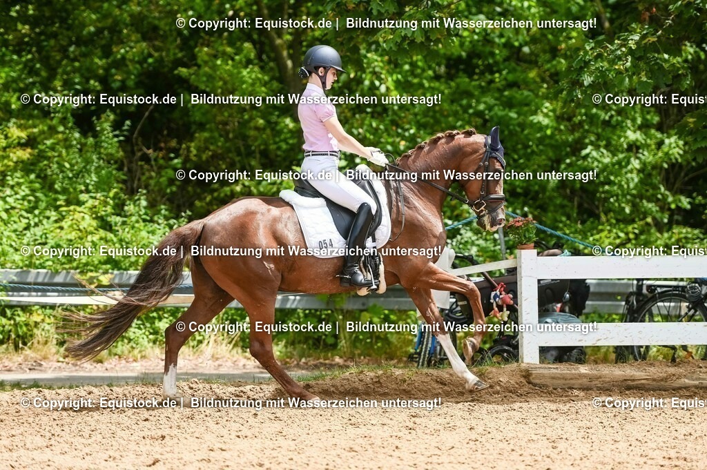 20230716_03_Dressurprfg. Kl.L - Tr._0233 | equistock