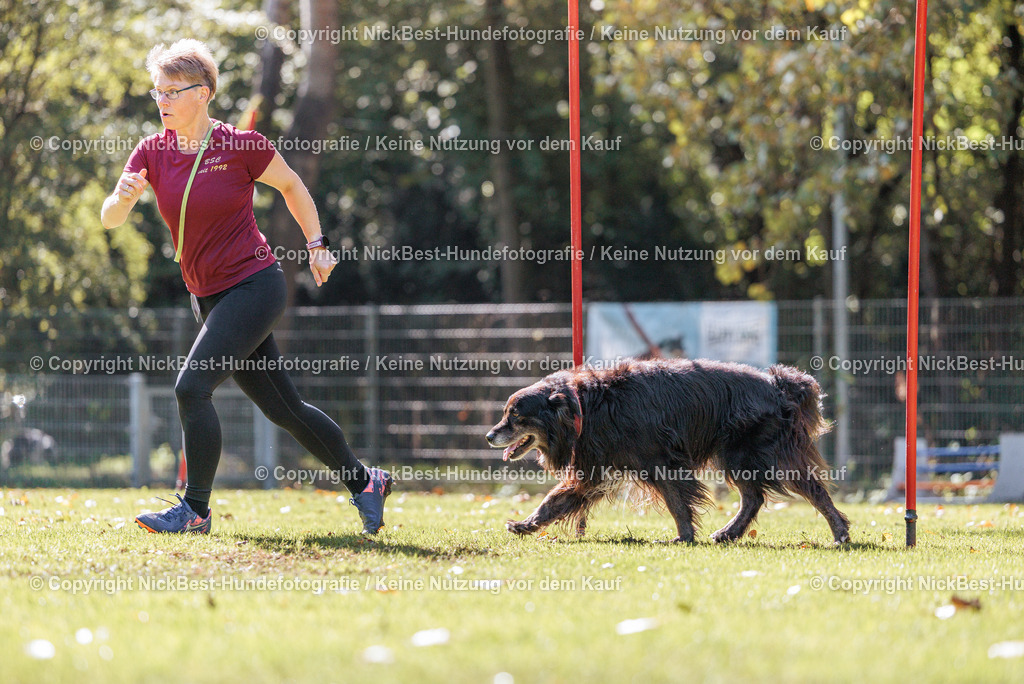 THS-HSV-Blumenthal-2026-Nickbest-Hundefotografie-3865 | Dein Hund! Dein Moment! Deine Erinnerungen! Hundefotografie in Bremen Blumenthal. Ich fange die besonderen Momente deines Vierbeiners ein – ob Indoor mit Blitzanlage oder in der freien Natur. Sicher dir dein Moment und dein Termin für eure Erinnerungen.