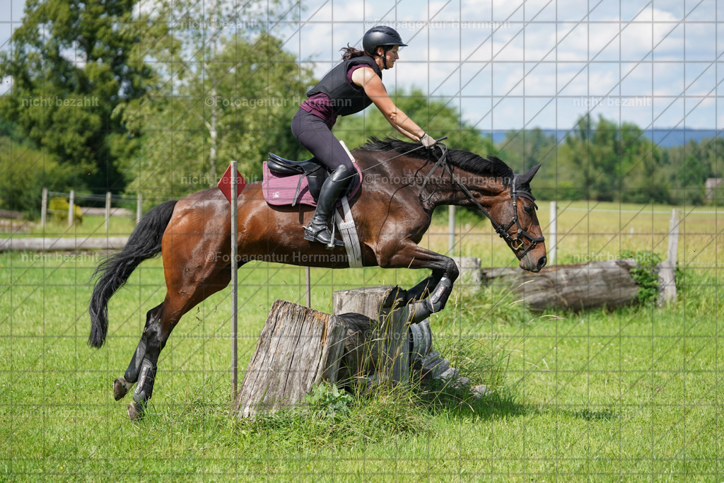 20240622-FAH07771 | Turnierfotografen Bayern, Reitsportbilder aus dem Geländekurs mit Felix Etzel auf dem Gut Waitzacker 2024