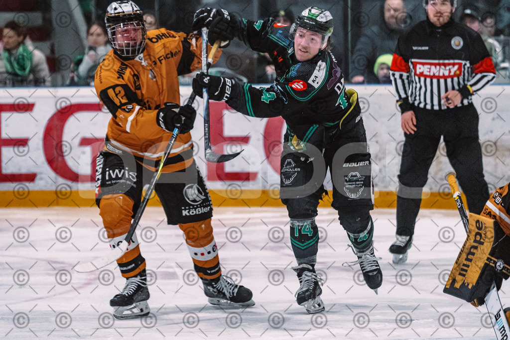 Alligators_vs_Fuessen_01_03_2026_PP-31 | Höchstadt Alligators Fotogalerie: Eishockey-Action aus Franken. Professionelle Spielfotos, Portraits & Stadionbilder zum Download. Jetzt entdecken! - Realized with Pictrs.com