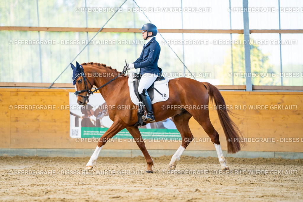 DSC06441 | Pferdegrafie