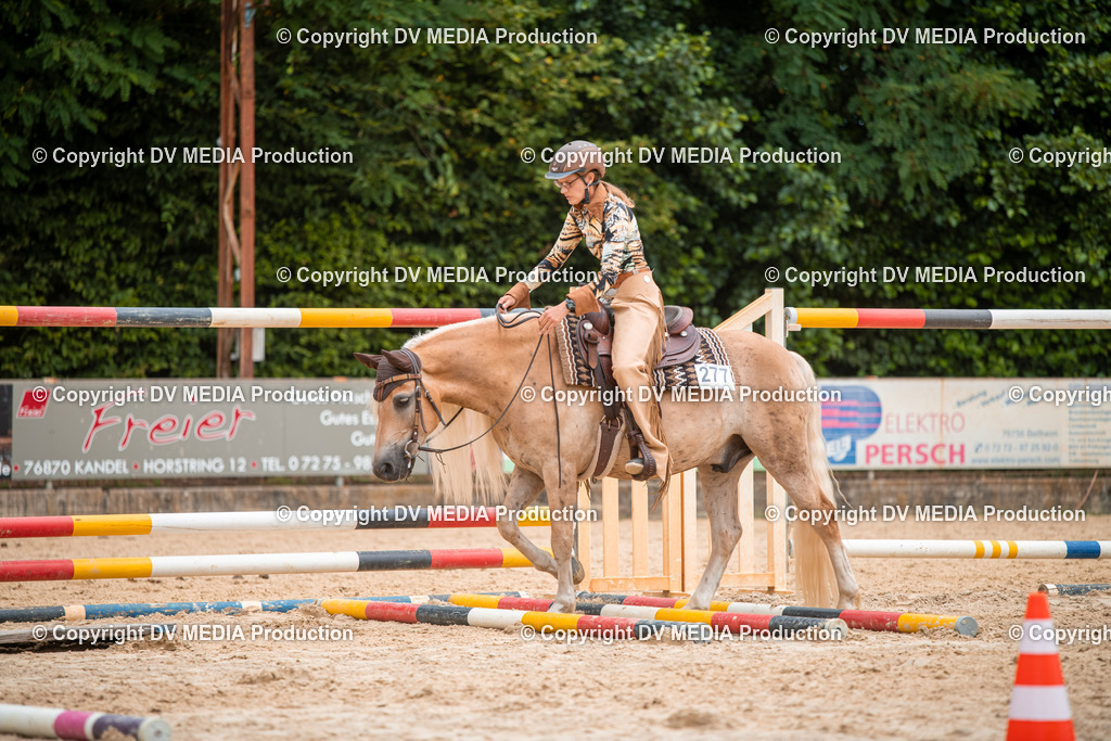 ZS2_8000 | dv-media-shop - Realisiert mit Pictrs.com