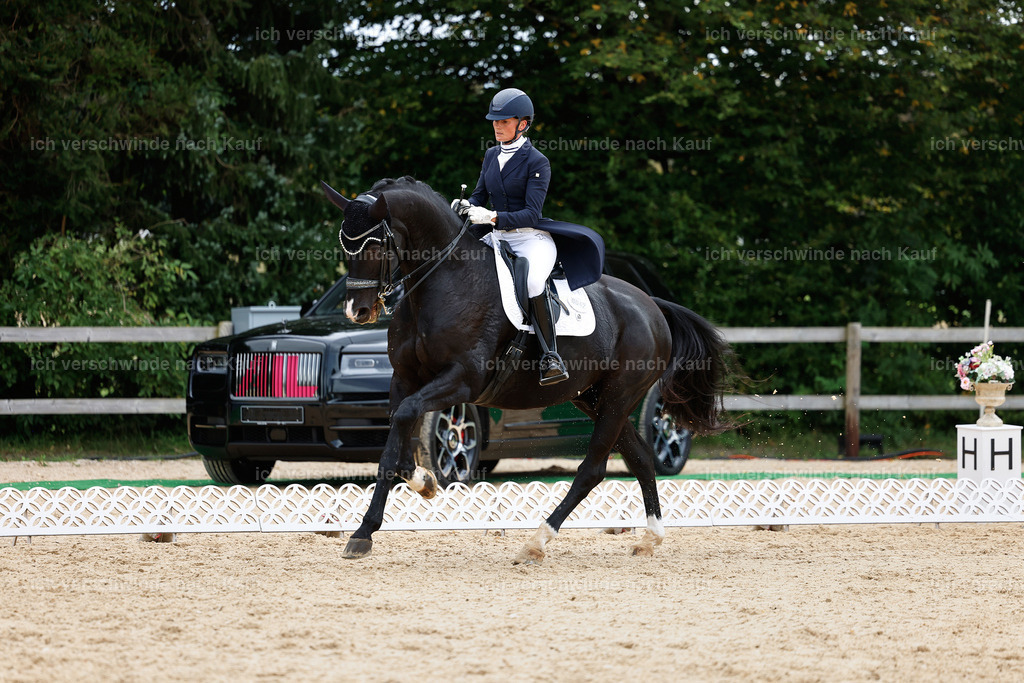 11-042-Dressur S___-StoibPH-1197 | working equitationturnier fotograf videograf stoibphotography marixx film working equitation deutschland reitsport turnierfotografie eventfotografie equestrian events