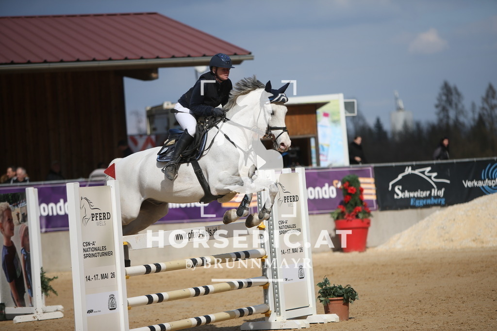 AS8V7923 | Willkommen bei Brunnmayr - Design & Fotografie – Ihrem Spezialisten für Reitturniere und Pferdeveranstaltungen in Oberösterreich, Salzburg und Bayern! Seit über 17 Jahren sind wir leidenschaftlich dabei.