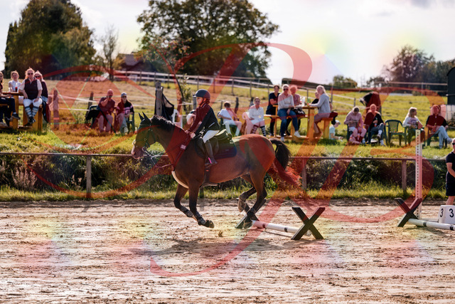2026_10_03_Siefer-Hof_143808_Z81_07832860 | Professionelle Reitsport-, Turnier- und Eventfotografie von Robert Broda. Galerien mit ausgewählten und bearbeiteten Bildern direkt online ansehen und bestellen.