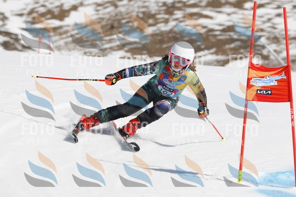 _U3G0358 | holidayphoto