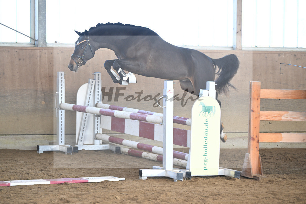 Kat-Nr. 6 Junkbrunnens Nomen est Omen v. Neverland WE_Thomas_49250173 | hf-fotografie - Realisiert mit Pictrs.com