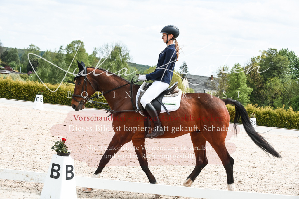 20230518_JK-Röhrsdorf-11-0074 | Pferde- und Turnierfotografie in Westsachsen. Pferdeportraits, Auftragszeichnungen und intuitive Kunst.
