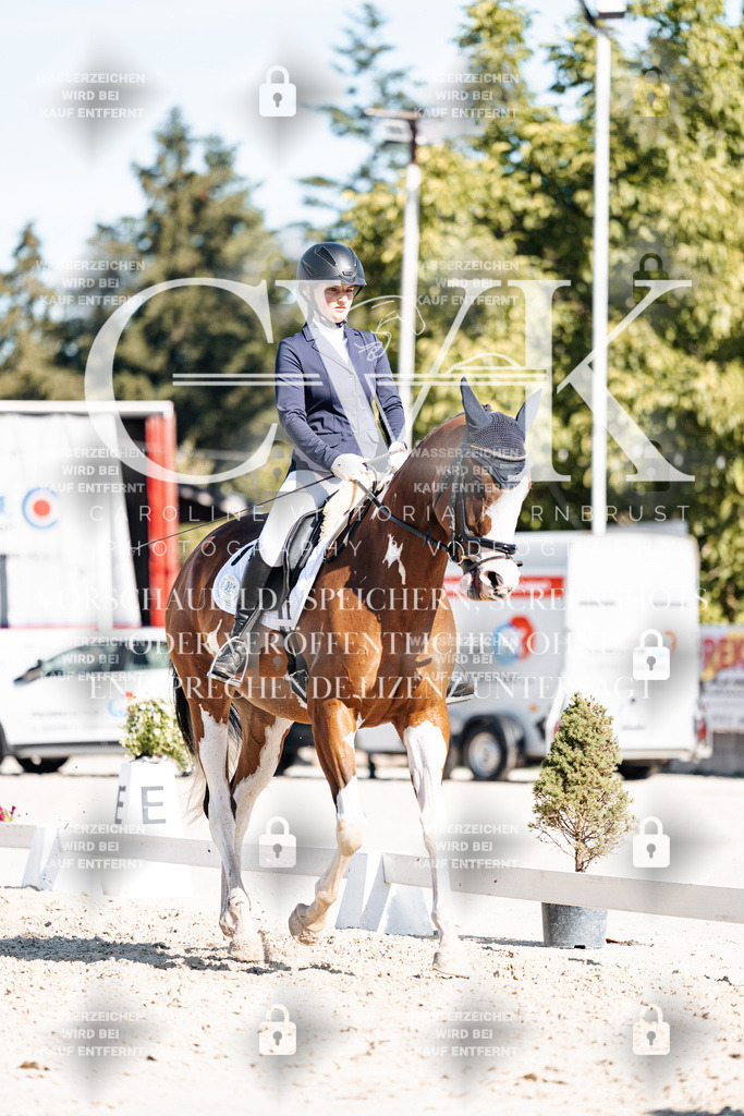 CK908194 | Turnierfotografie Pferdefotografie Trier Rheinland-Pfalz Pferdesport Reitsport Tierfotografie Sportfotografie Pferdevideo Pferdevideografie Equestrianvideography equestrianphotography  - Realisiert mit Pictrs.com