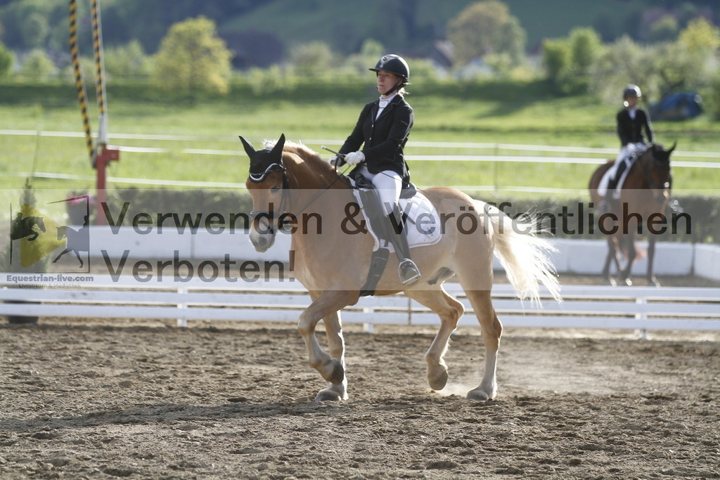 _MG_4300 | equestrian-live-com