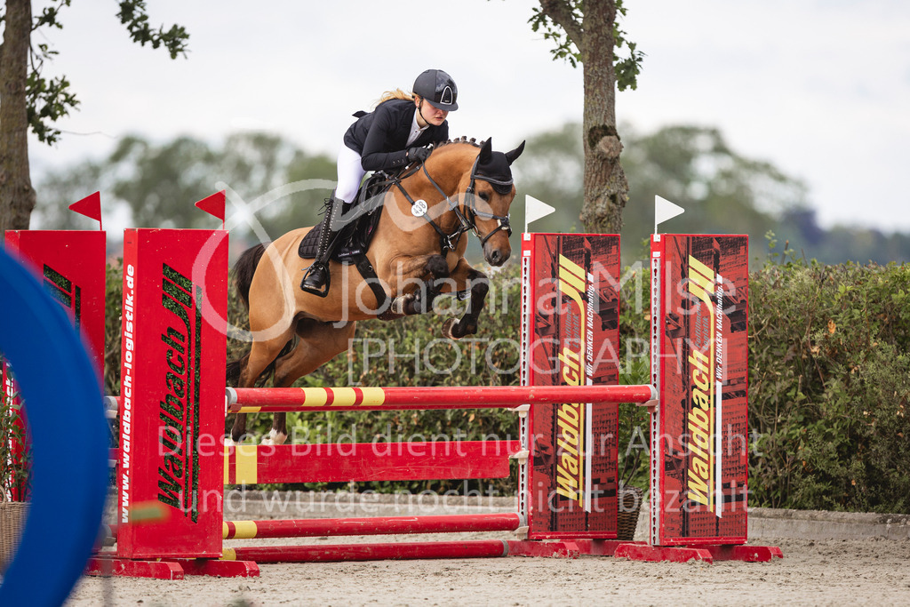 240616_Lemwerder_A2-Spr-203 | Deine schönsten Turniermomente als professionelle Fotos! Entdecke hochwertige Pferdesport-Fotografie im Online-Shop. Jetzt Fotos finden & bestellen!