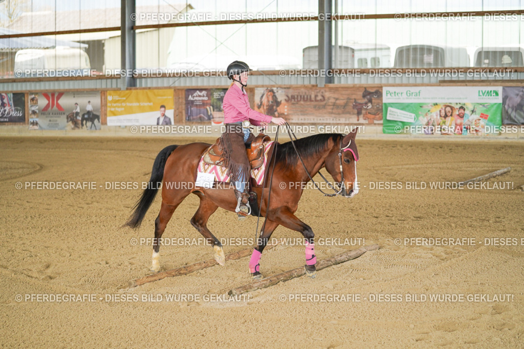 DSC05914 | Pferdegrafie