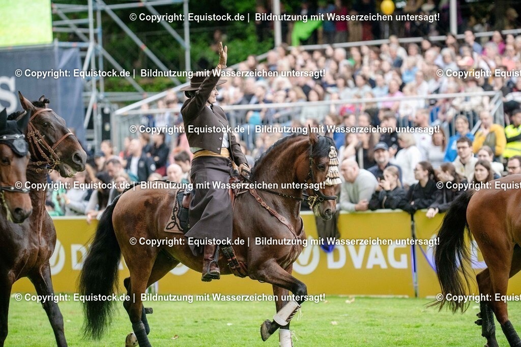 20250606_Lange-Pferdenacht_0589 | Foto: Thomas Hartig