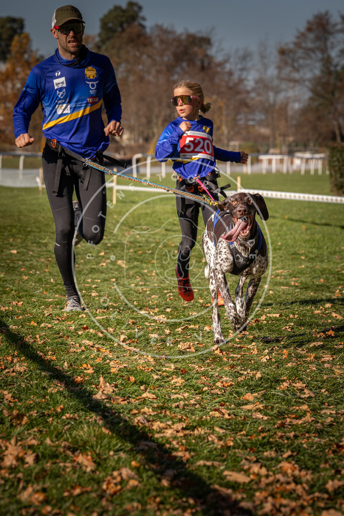 CaniXpix_0L8A7099 | Hundefotografie, Tierfotograf, Pfotenfotografie, Fotoshooting Hund, Hunde Portrait, Hundesport, Hundeportraits, Heideshooting, Hunde, Sportfotograf, Hundefotograf, Turnierhundsport, THS,  - Realisiert mit Pictrs.com