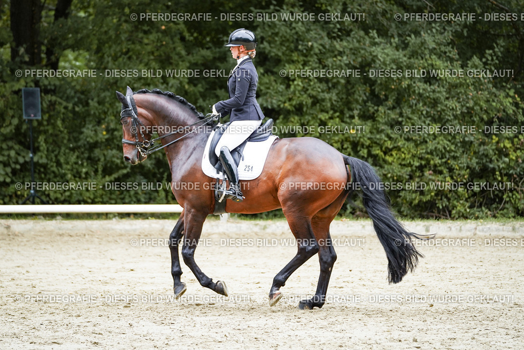 DSC09768 | Pferdegrafie