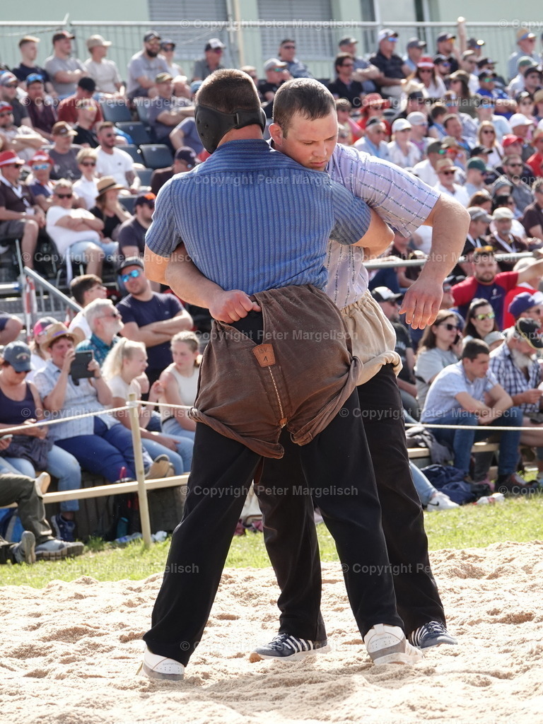 DSC06892 | Schwingen - Realisiert mit Pictrs.com