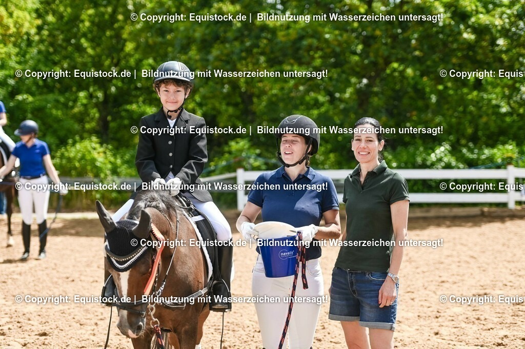 20230716_11_Führzügel-WB_0114 | equistock