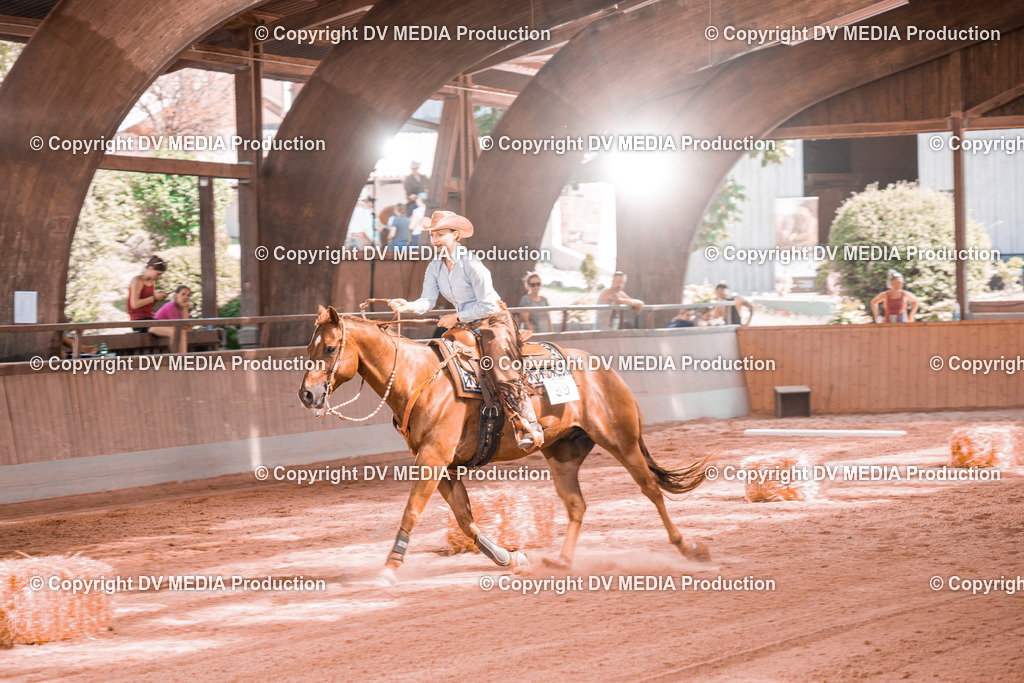 NE300272 | dv-media-shop - Realisiert mit Pictrs.com