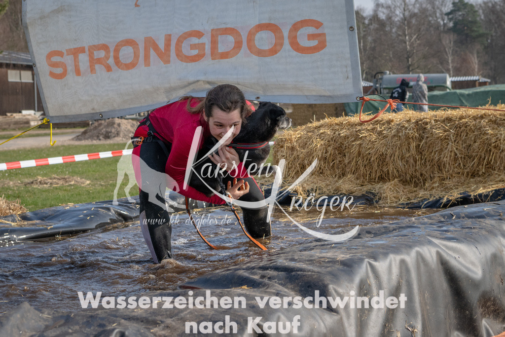 _ZZ91229 | kk-dogfotos