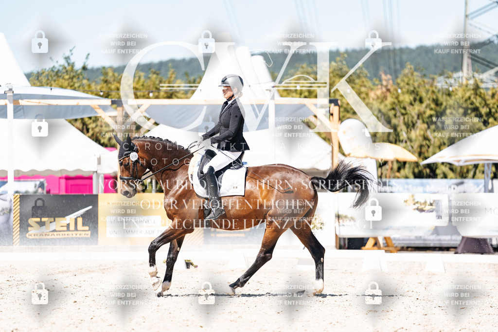 CK900399 | Turnierfotografie Pferdefotografie Trier Rheinland-Pfalz Pferdesport Reitsport Tierfotografie Sportfotografie Pferdevideo Pferdevideografie Equestrianvideography equestrianphotography  - Realisiert mit Pictrs.com