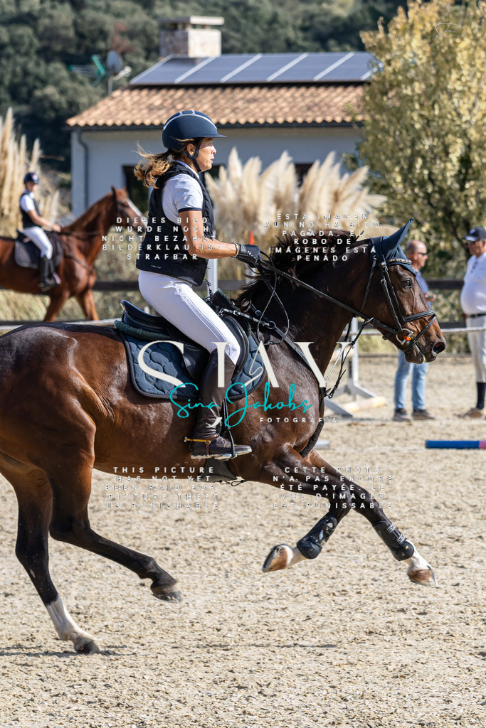 IMG_0599 | s-jay-photography - Realisiert mit Pictrs.com