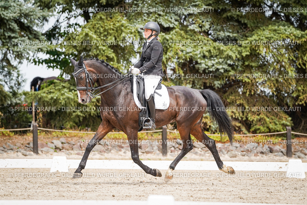 DSC05738 | Pferdegrafie