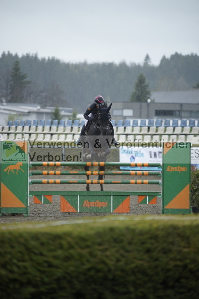 _DSC6157 | equestrian-live-com