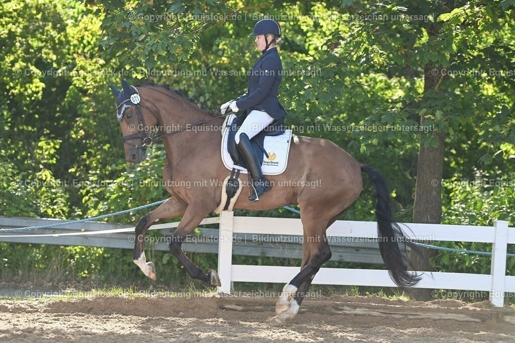 20230715_06_Dressurpferdeprfg. Kl.A_0218 | equistock