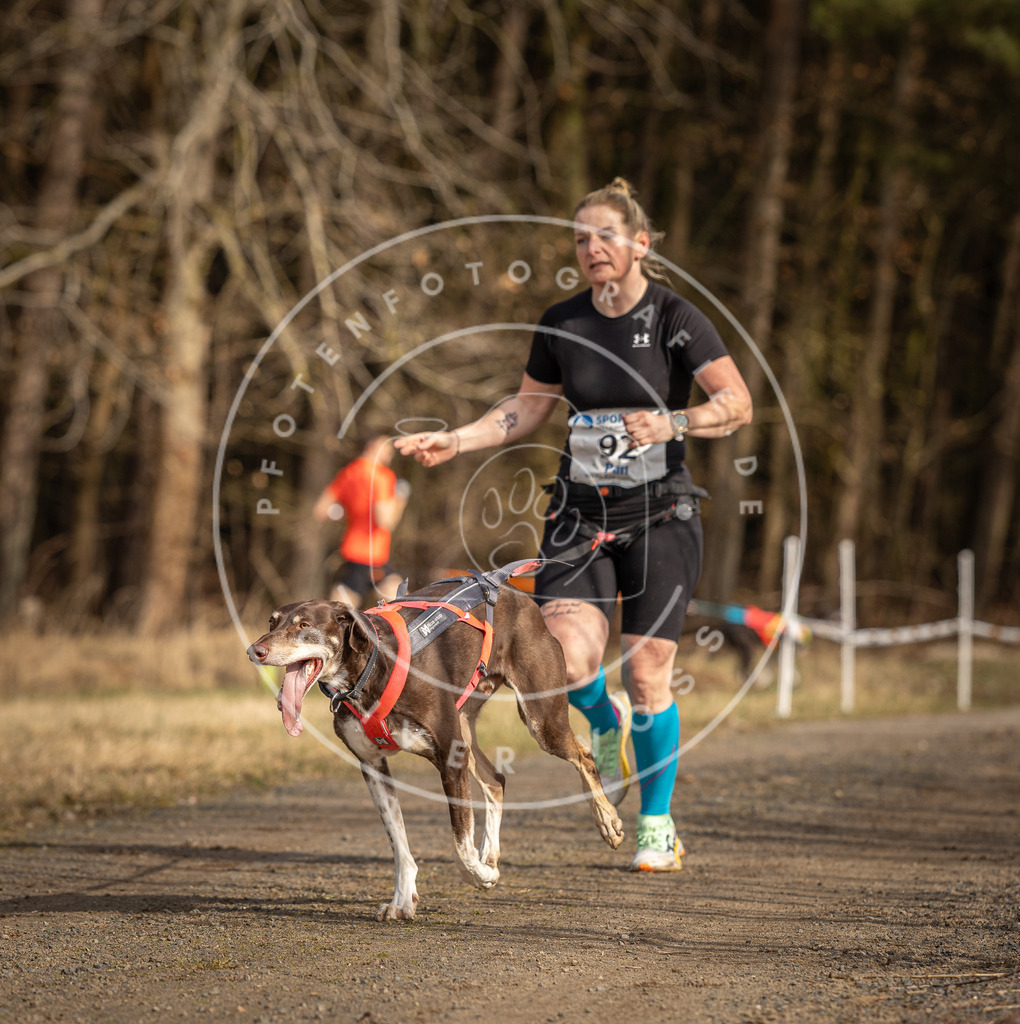 DV3A3742 | Hundefotografie, Tierfotograf, Pfotenfotografie, Fotoshooting Hund, Hunde Portrait, Hundesport, Hundeportraits, Heideshooting, Hunde, Sportfotograf, Hundefotograf, Turnierhundsport, THS,  - Realisiert mit Pictrs.com