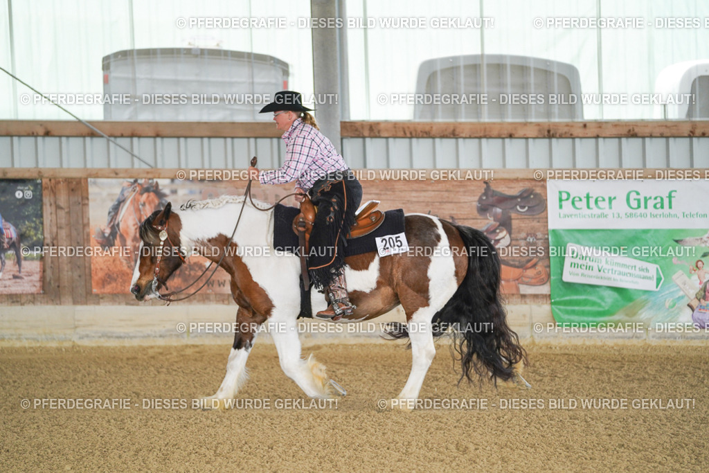 DSC02464 | Pferdegrafie