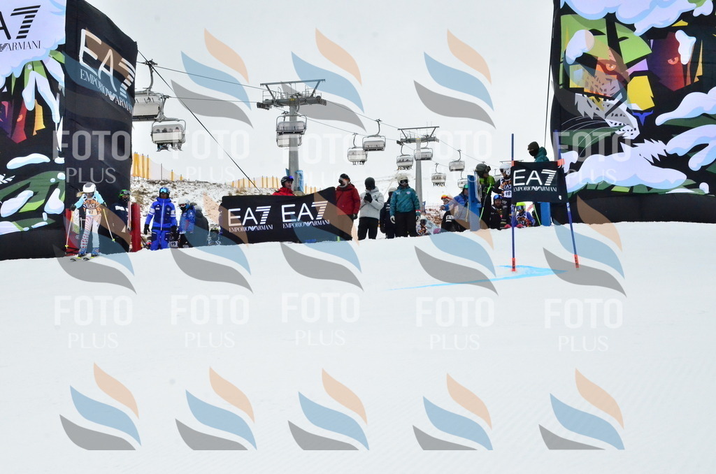 _ELE3362 | holidayphoto