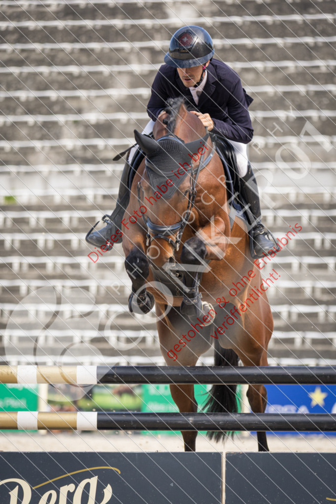 IMG_4786 | Sport-, Event- und Tierfotos in Profiqualität. Einfach auswählen, bestellen und herunterladen. Dein Moment – perfekt festgehalten.