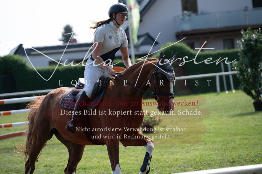 DSC_0942 | Pferde- und Turnierfotografie in Westsachsen. Pferdeportraits, Auftragszeichnungen und intuitive Kunst.