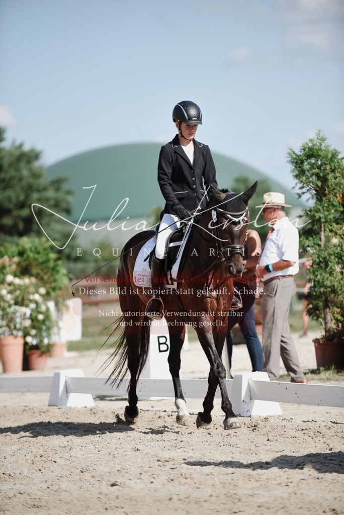 DSC_0059 | Pferde- und Turnierfotografie in Westsachsen. Pferdeportraits, Auftragszeichnungen und intuitive Kunst.