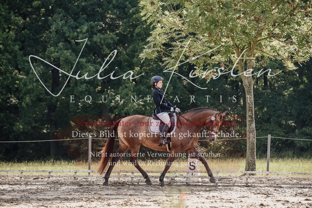 DSC_9288 | Pferde- und Turnierfotografie in Westsachsen. Pferdeportraits, Auftragszeichnungen und intuitive Kunst.