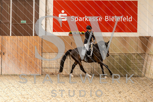 2L2A4310 | stallwerkstudio - Realisiert mit Pictrs.com