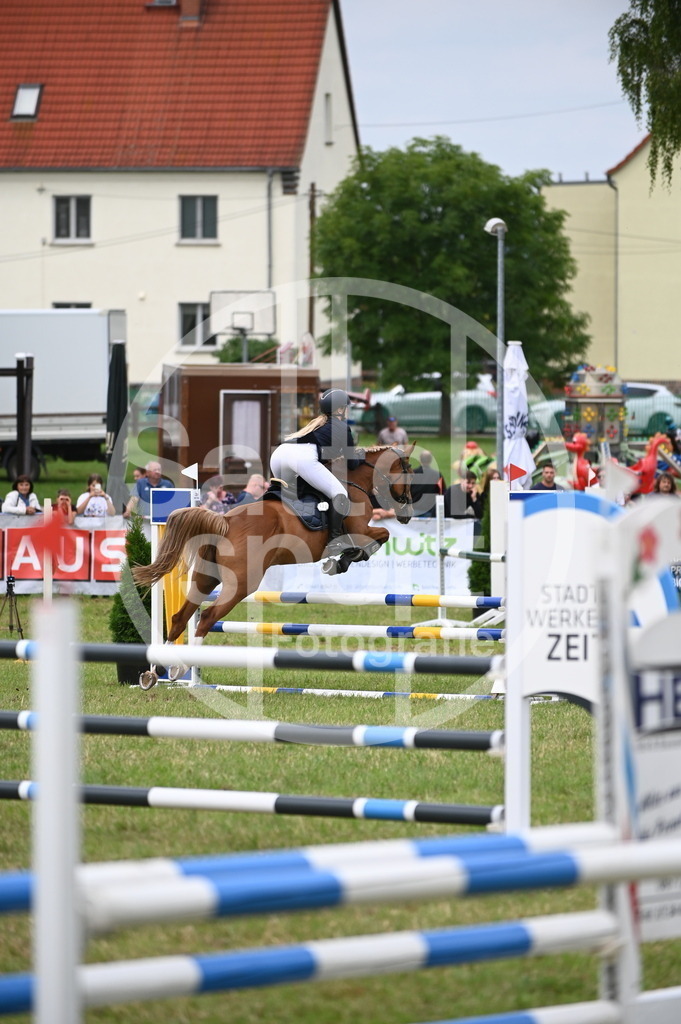 DSC_1887 | sattelsport - Realisiert mit Pictrs.com