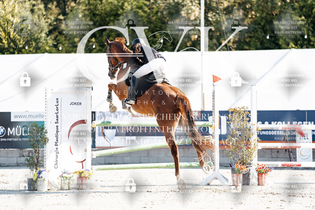 CK901692 | Turnierfotografie Pferdefotografie Trier Rheinland-Pfalz Pferdesport Reitsport Tierfotografie Sportfotografie Pferdevideo Pferdevideografie Equestrianvideography equestrianphotography  - Realisiert mit Pictrs.com