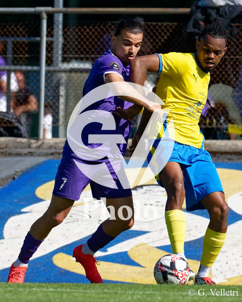 DSC_0044 | Velletri Photo