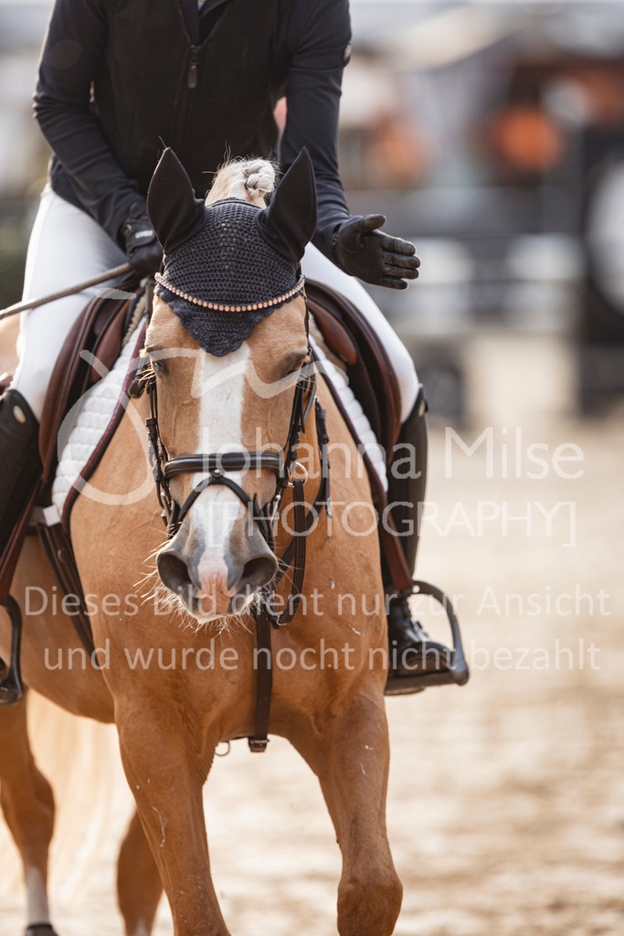 240906_BuCha_PonyA-5j-133 | Deine schönsten Turniermomente als professionelle Fotos! Entdecke hochwertige Pferdesport-Fotografie im Online-Shop. Jetzt Fotos finden & bestellen!