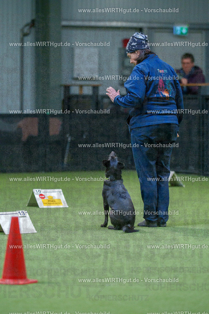 7R501220 | Professionelle Tierfotografie in Mönchengladbach von Daniel Wirth (allesWIRTHgut). Liebevolle & natürliche Bilder von Hunden & Katzen für unvergessliche Erinnerungen.