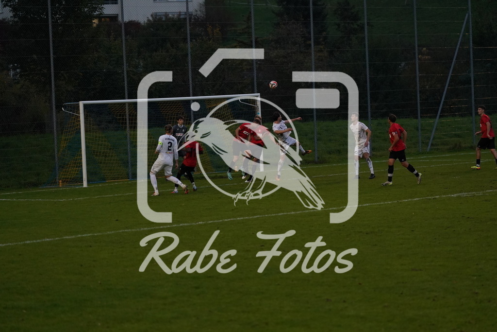 DSC09070 | rabefotos