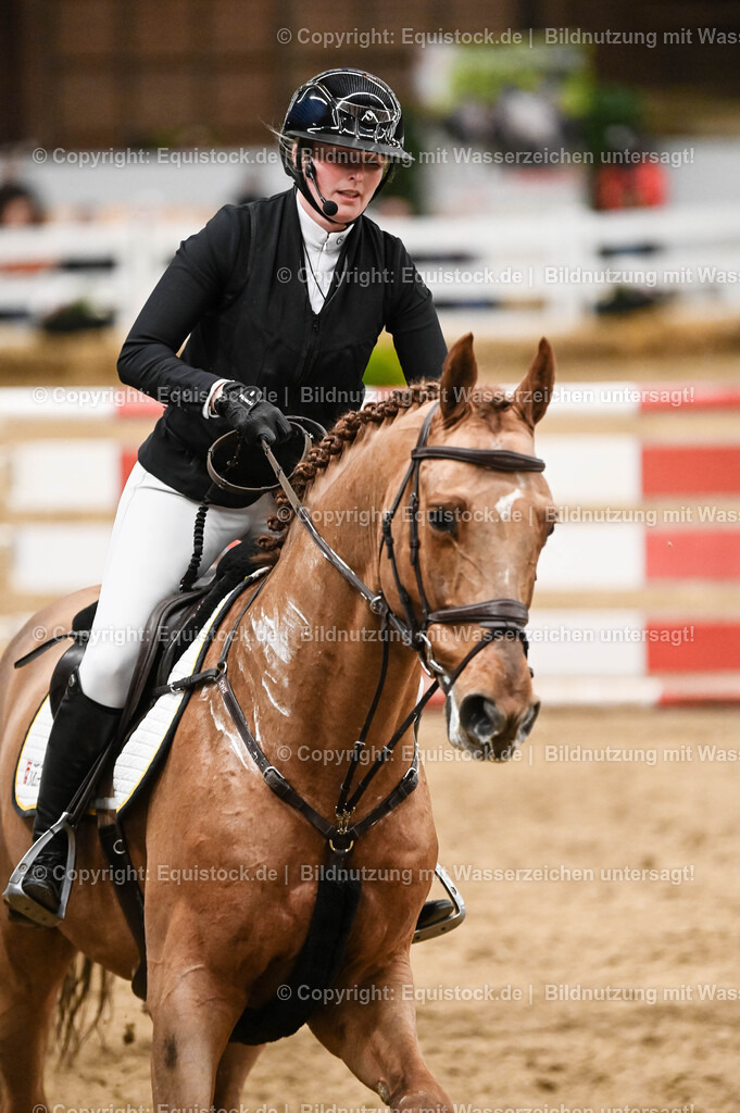 20260307_Hengstvorstellung-Marbach_0158 | equistock