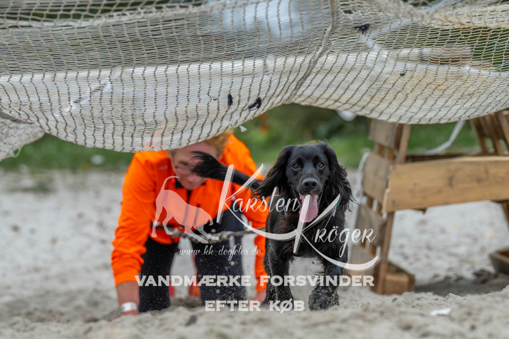 1029_ZZ94004 | kk-dogfotos