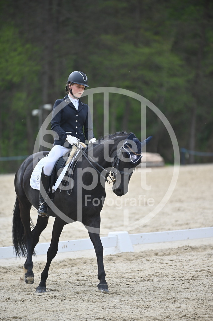 DSC_5235 | sattelsport - Realisiert mit Pictrs.com