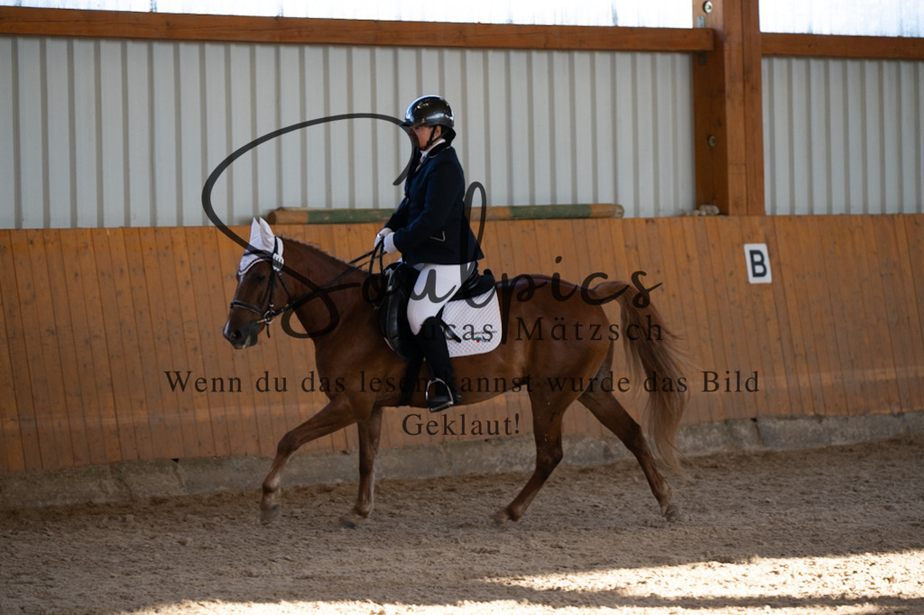 A7V01747 | Turnier/Reitfotograf