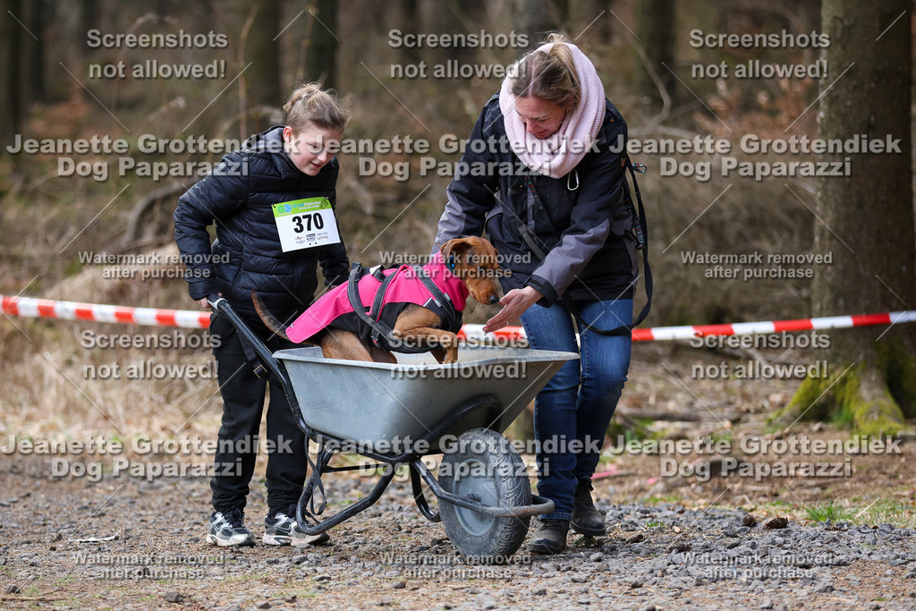 Dog Paparazzi - VCC26-710 | Dog Paparazzi Jeanette Grottendiek Fotografie & Videografie - Realisiert mit Pictrs.com