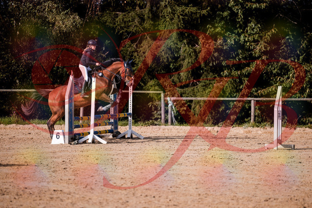 2026_10_03_Siefer-Hof_154708_Z81_66320698 | Professionelle Reitsport-, Turnier- und Eventfotografie von Robert Broda. Galerien mit ausgewählten und bearbeiteten Bildern direkt online ansehen und bestellen.